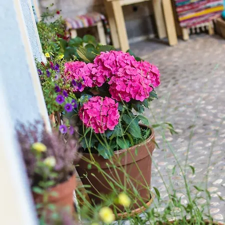 Logavina 8 Garage Parking Hotel Sarajevo